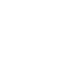 zizo